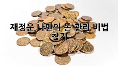 재정운: 나만의 돈 관리 비법 찾기