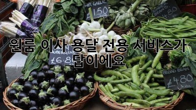 원룸 이사? 용달 전용 서비스가 답이에요!
