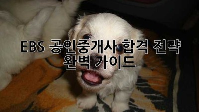 EBS 공인중개사 합격 전략 완벽 가이드